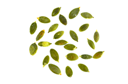 bread_transparent_04 https://gavali.info/wp-content/uploads/2017/07/bread_transparent_04.png