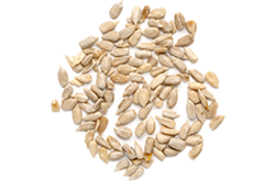 bread_transparent_06 https://gavali.info/wp-content/uploads/2017/07/bread_transparent_06.png