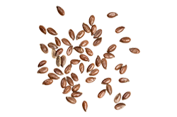 bread_transparent_07 https://gavali.info/wp-content/uploads/2017/07/bread_transparent_07.png
