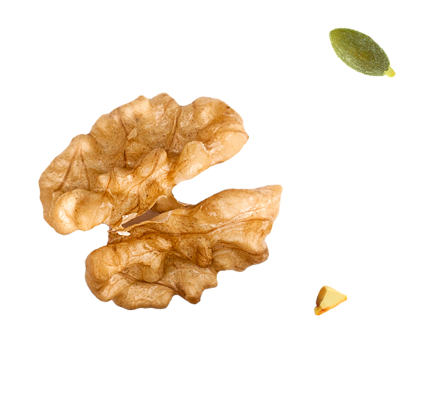 https://gavali.info/wp-content/uploads/2017/07/nut_seed.png